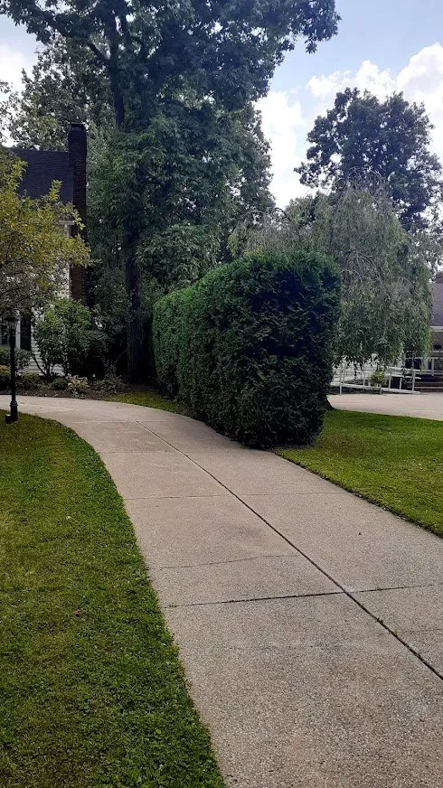 Affordable yard cleanup service in South Euclid, OH by Manzo Landscaping