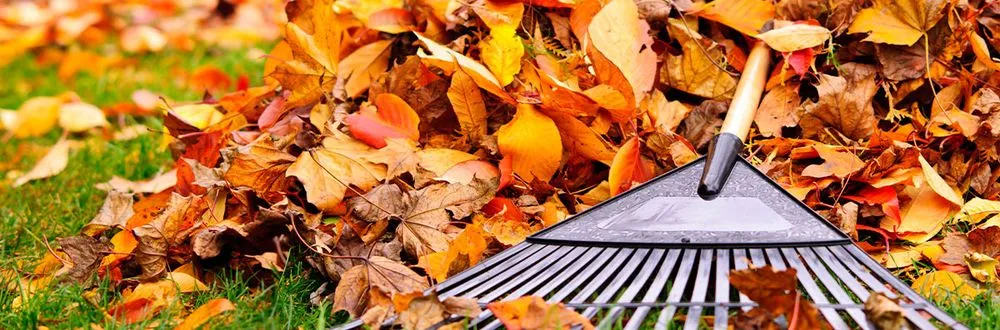 Affordable outdoor landscaping in Highland Lakes, NJ by Map Landscaping