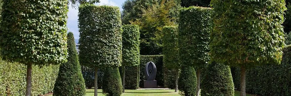 Top-rated landscape design for year-round maintenance in Highland Lakes, NJ by Map Landscaping