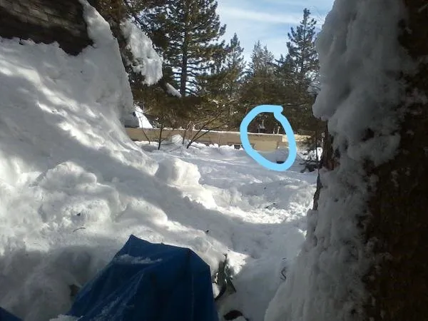 Custom lawn care service in South Lake Tahoe, CA - Mapes Landscaping and Snow Removal