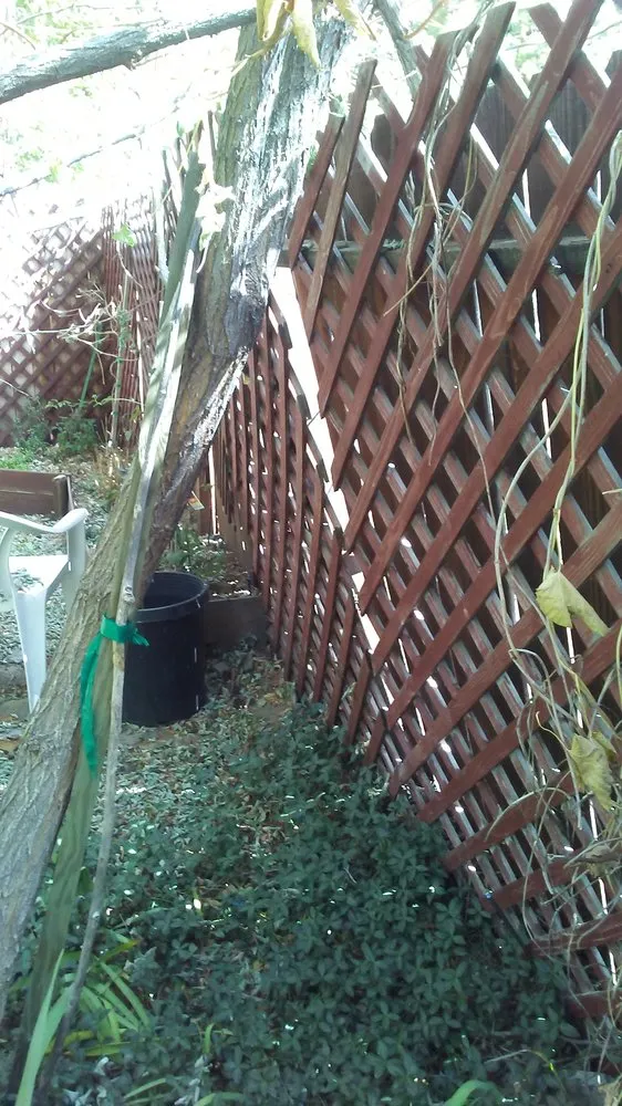 Custom landscaping services in South Lake Tahoe, CA - Mapes Landscaping and Snow Removal