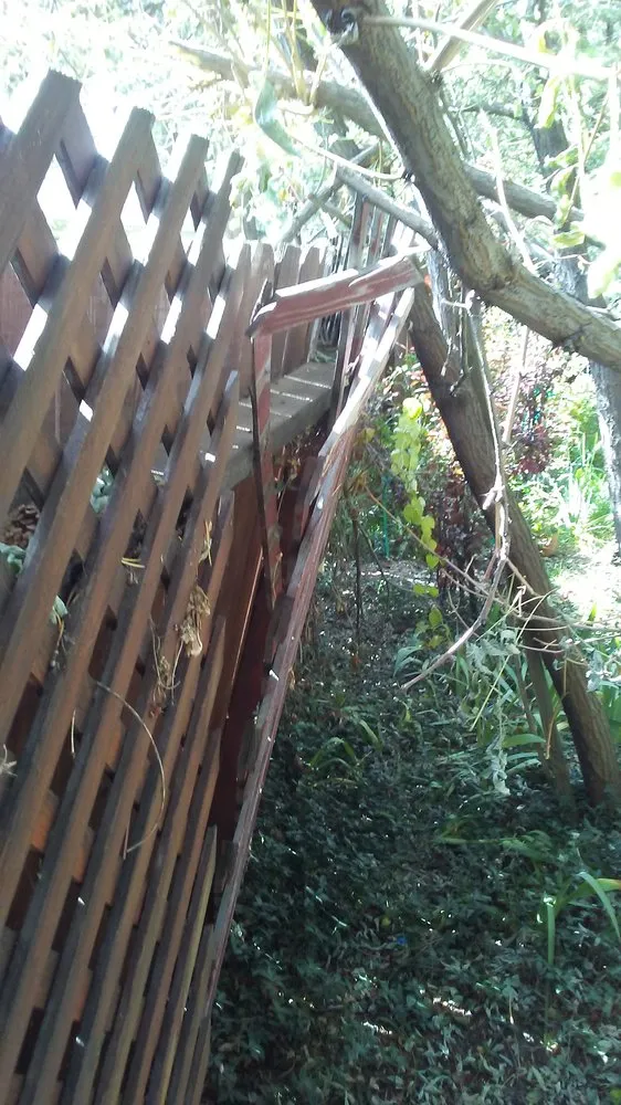 Affordable residential landscaping in South Lake Tahoe, CA - Mapes Landscaping and Snow Removal