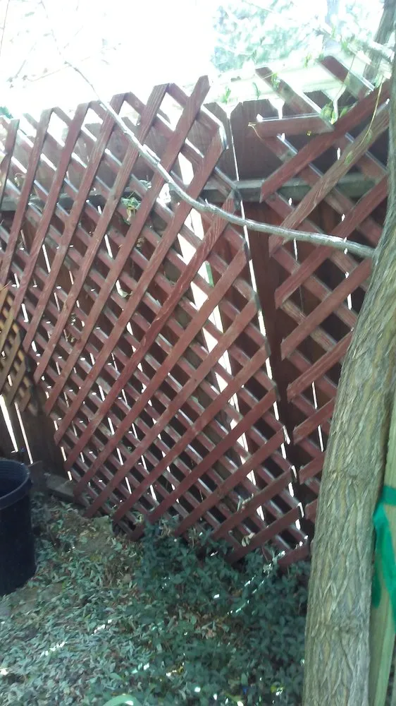 Trusted landscape design for residential properties across South Lake Tahoe, CA - Mapes Landscaping and Snow Removal