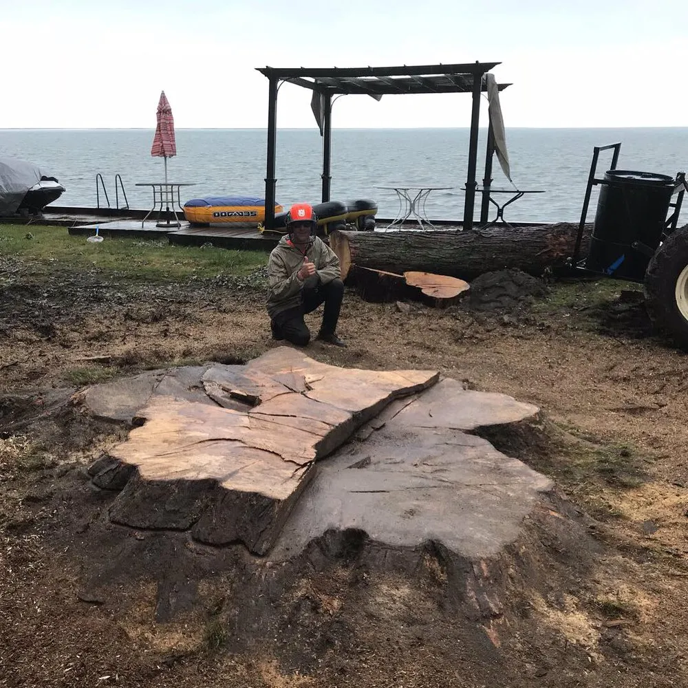 Professional landscaping services experts serving China Township, MI - Maple Falls