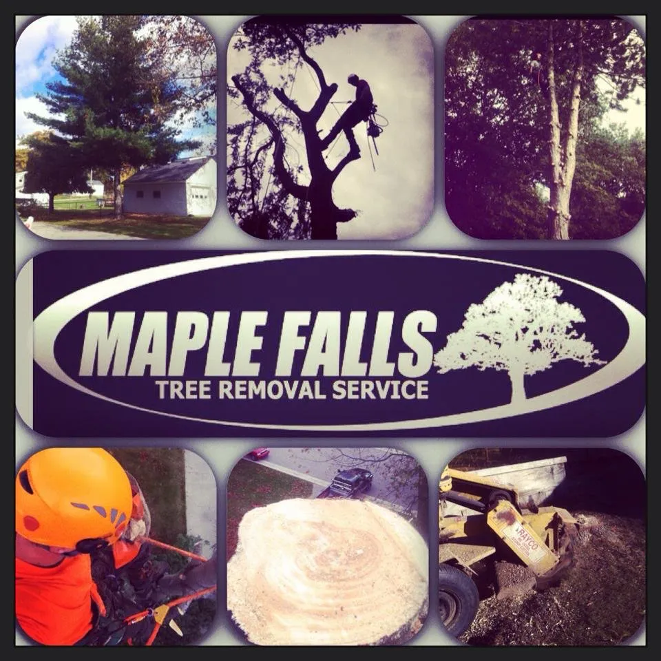 Professional lawn care service for homes across China Township, MI - Maple Falls