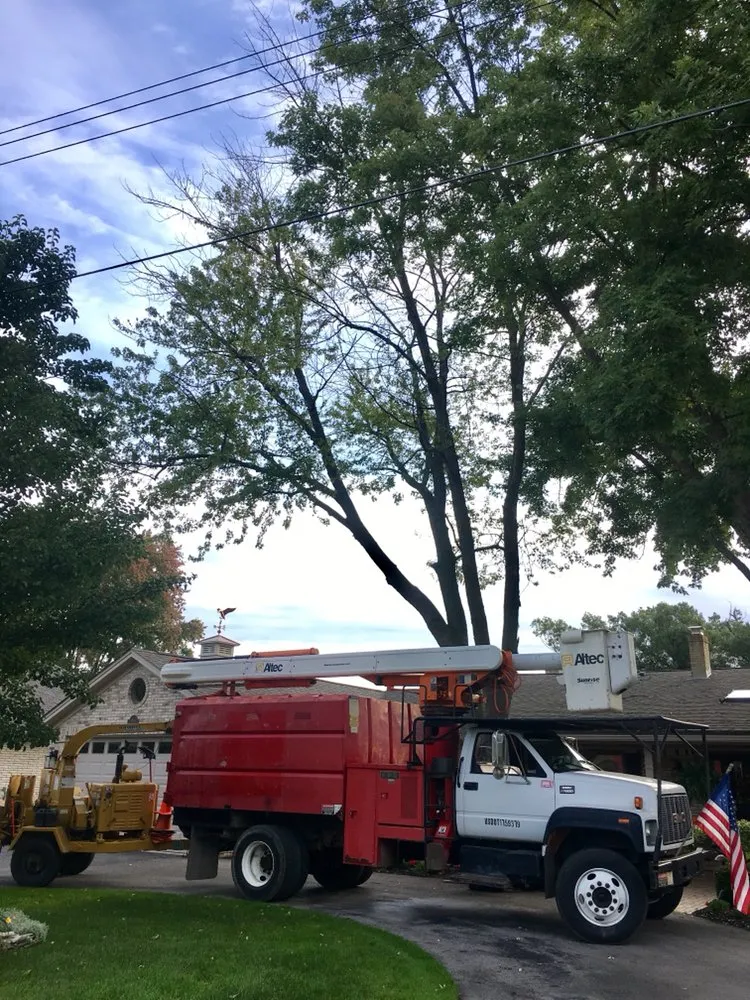 Local landscape installation with custom design across China Township, MI - Maple Falls