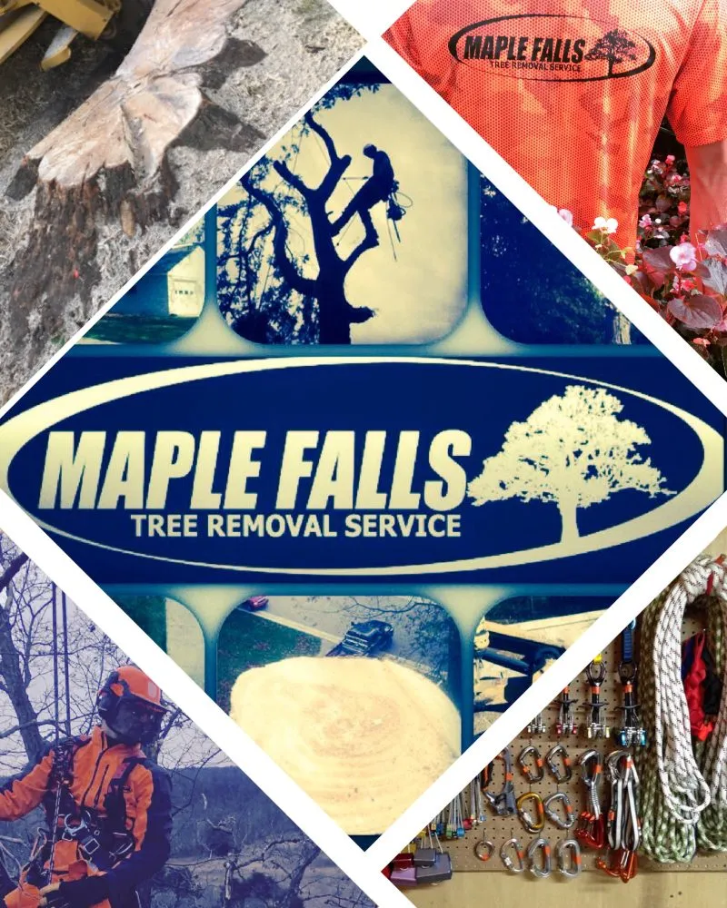 Reliable garden landscaping experts serving China Township, MI - Maple Falls