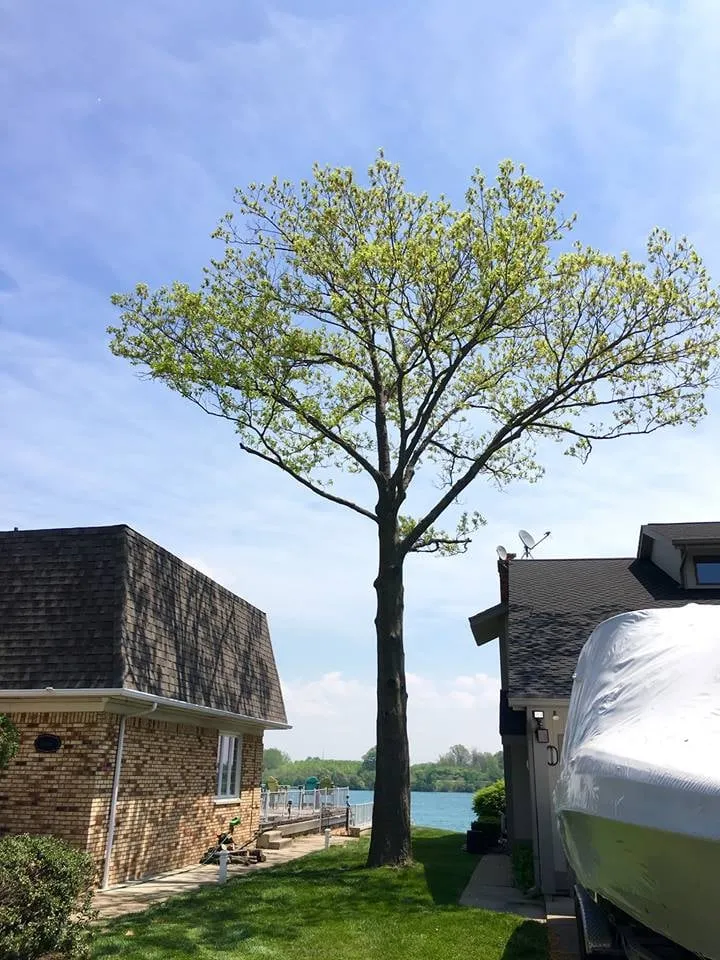 Reliable garden landscaping experts serving China Township, MI - Maple Falls