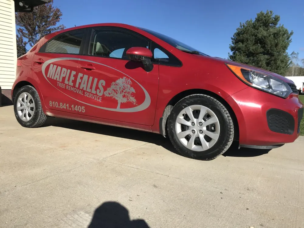 Trusted yard cleanup service for beautiful yards across China Township, MI - Maple Falls
