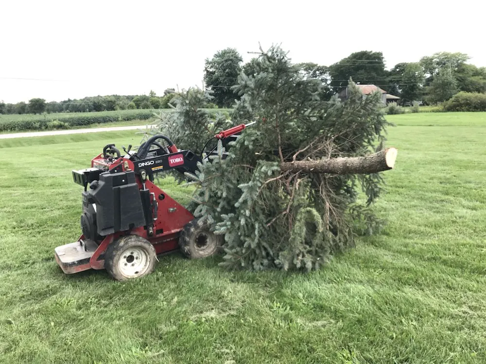 Affordable yard cleanup service for year-round maintenance across China Township, MI - Maple Falls