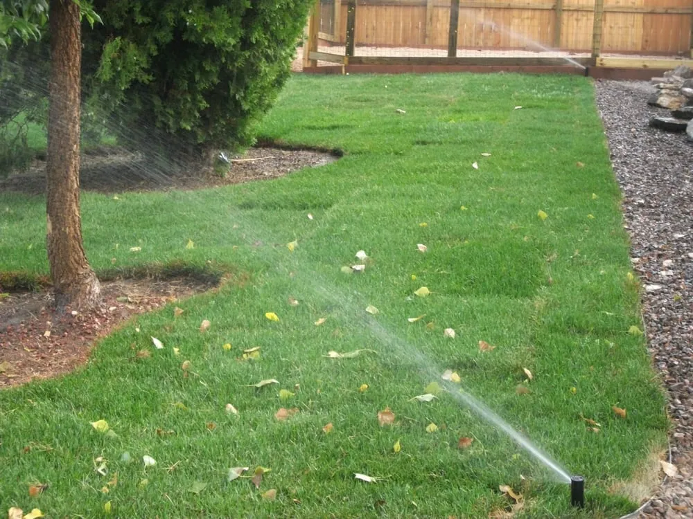 Local residential landscaping in Billings, MT - Maple Falls Landscaping