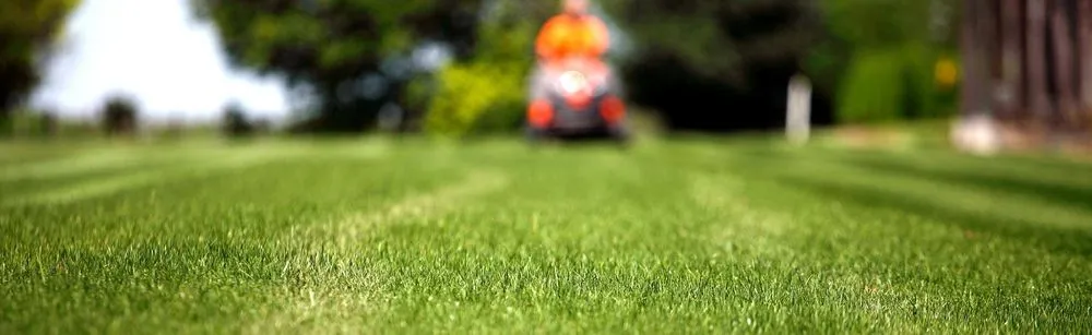 Affordable yard maintenance for beautiful yards in Barre, VT by Maple Haven Landscaping