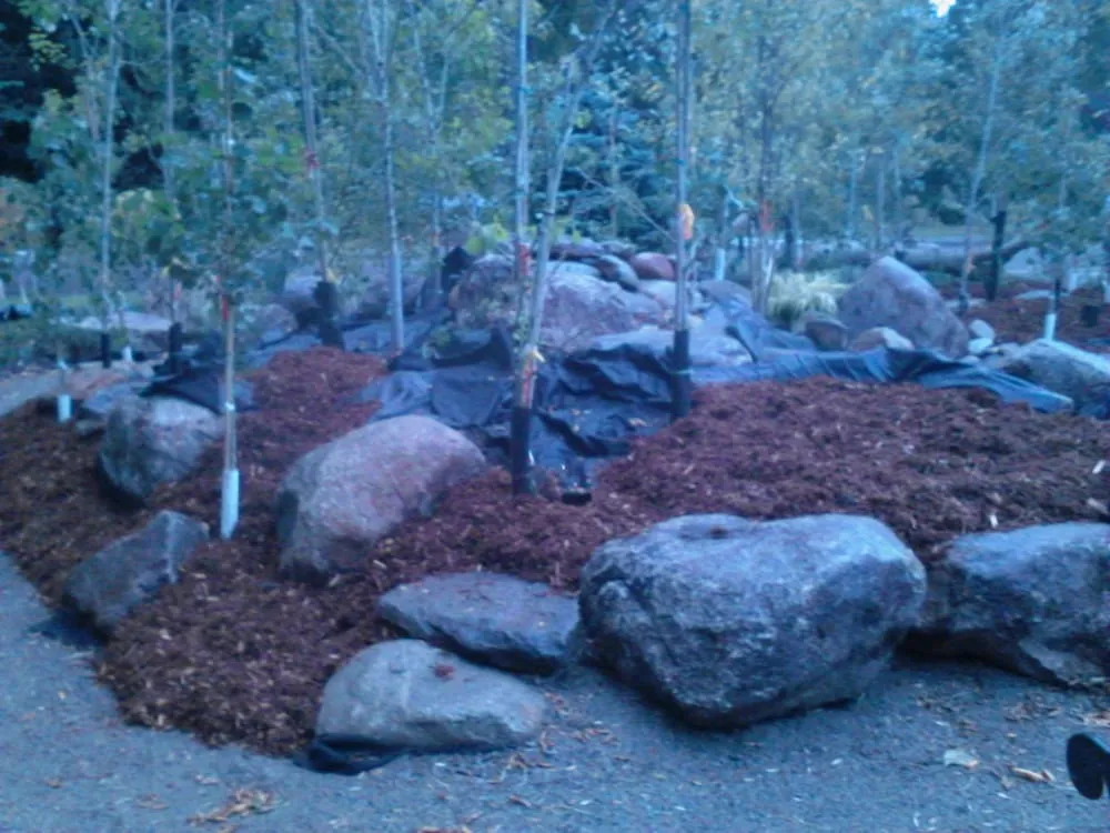 Custom lawn care service in Elk River, MN - Maple Hill Forest Inc