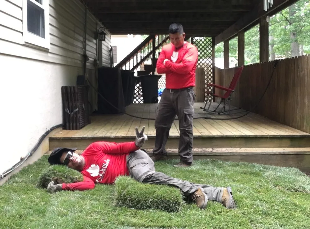 Expert yard cleanup service for beautiful yards in Accokeek, MD by Maple Hill Lawn & Garden