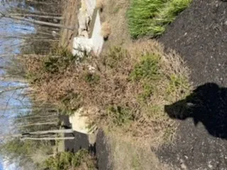 Reliable residential landscaping in Swanzey, NH by Maple Hill Nursery & Green Houses