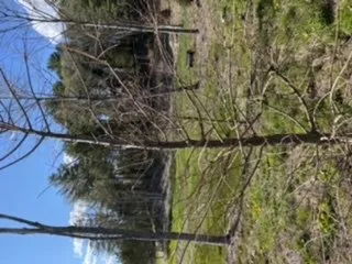 Custom outdoor landscaping in Swanzey, NH - Maple Hill Nursery & Green Houses