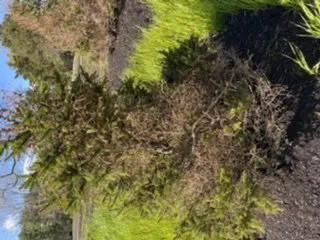 Local outdoor landscaping experts serving Swanzey, NH - Maple Hill Nursery & Green Houses