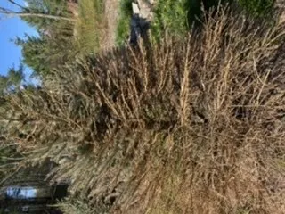 Trusted outdoor landscaping for residential properties in Swanzey, NH by Maple Hill Nursery & Green Houses