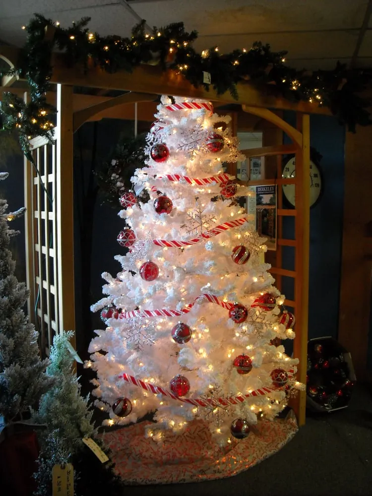 Affordable landscape design in Midland, MI - Maple Hill Nursery