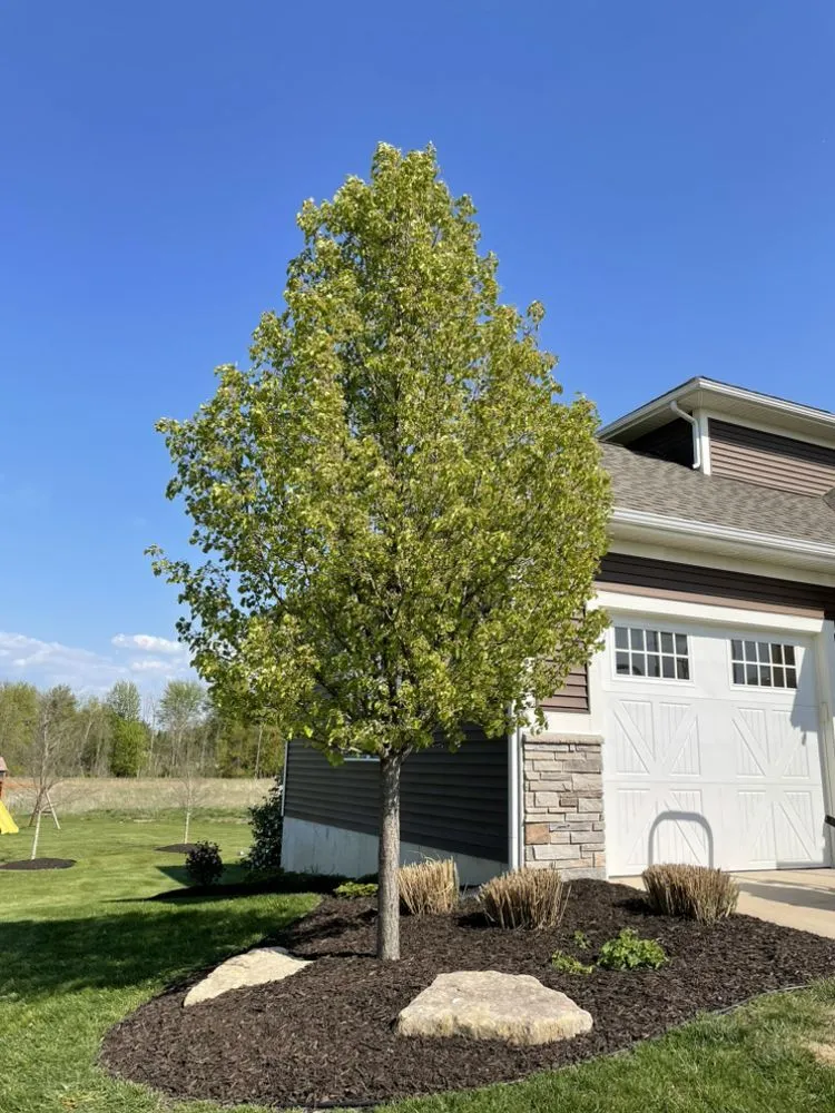 Top-rated landscape design for outdoor upgrades in Nunica, MI by Maple Island Landscaping