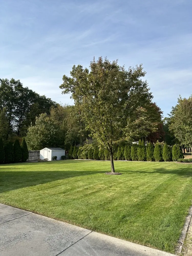 Professional yard cleanup service in Nunica, MI by Maple Island Landscaping