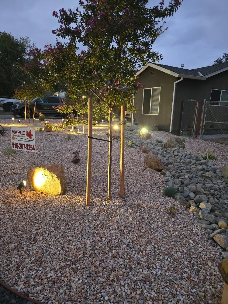 Reliable landscaping services in Sacramento, CA - Maple Landscaping
