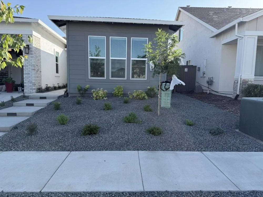 Expert yard maintenance experts serving Sacramento, CA - Maple Landscaping
