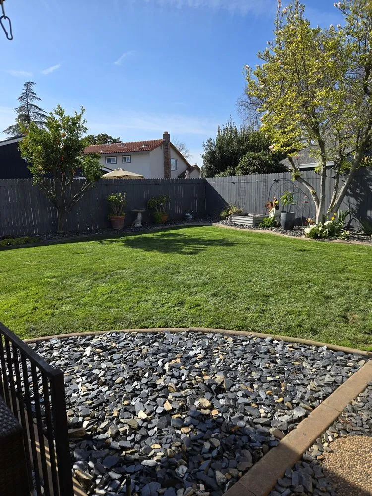 Local residential landscaping experts serving Sacramento, CA - Maple Landscaping