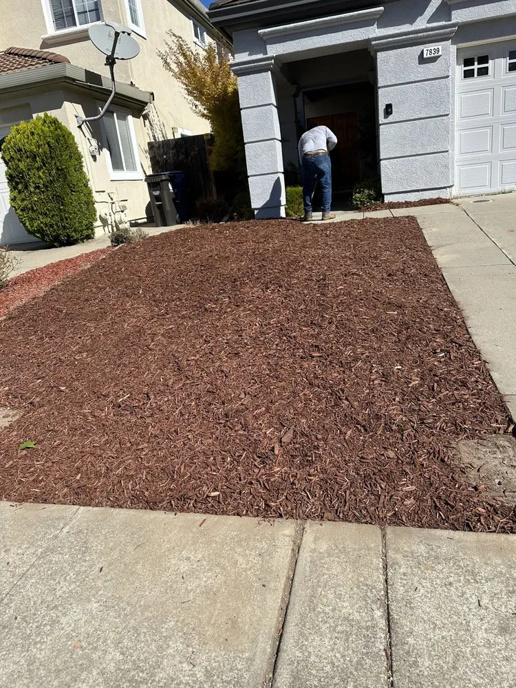 Affordable lawn care service for beautiful yards across Santa Clara, CA - Maple Landscaping Services