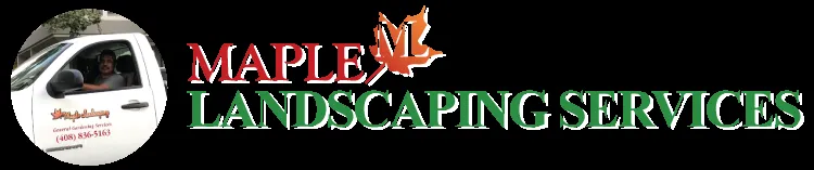 Trusted landscaping services in Santa Clara, CA by Maple Landscaping Services