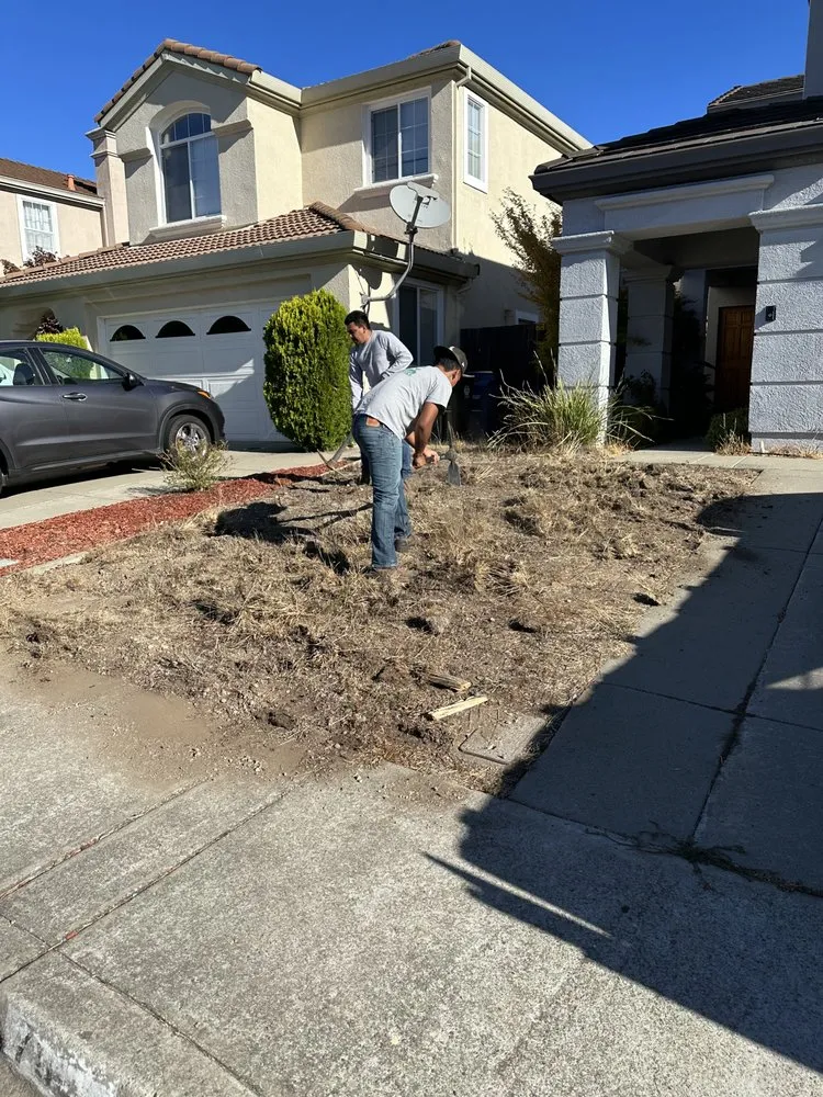 Trusted lawn mowing service in Santa Clara, CA by Maple Landscaping Services
