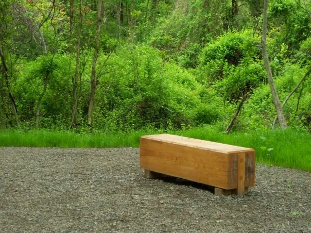 Professional landscaping services for year-round maintenance across Putnam Valley, NY - Maple Leaf Associates