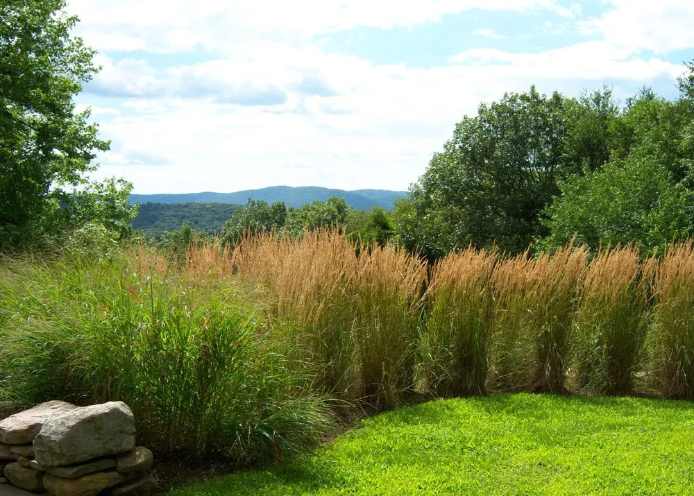 Professional landscaping services for beautiful yards in Putnam Valley, NY by Maple Leaf Associates