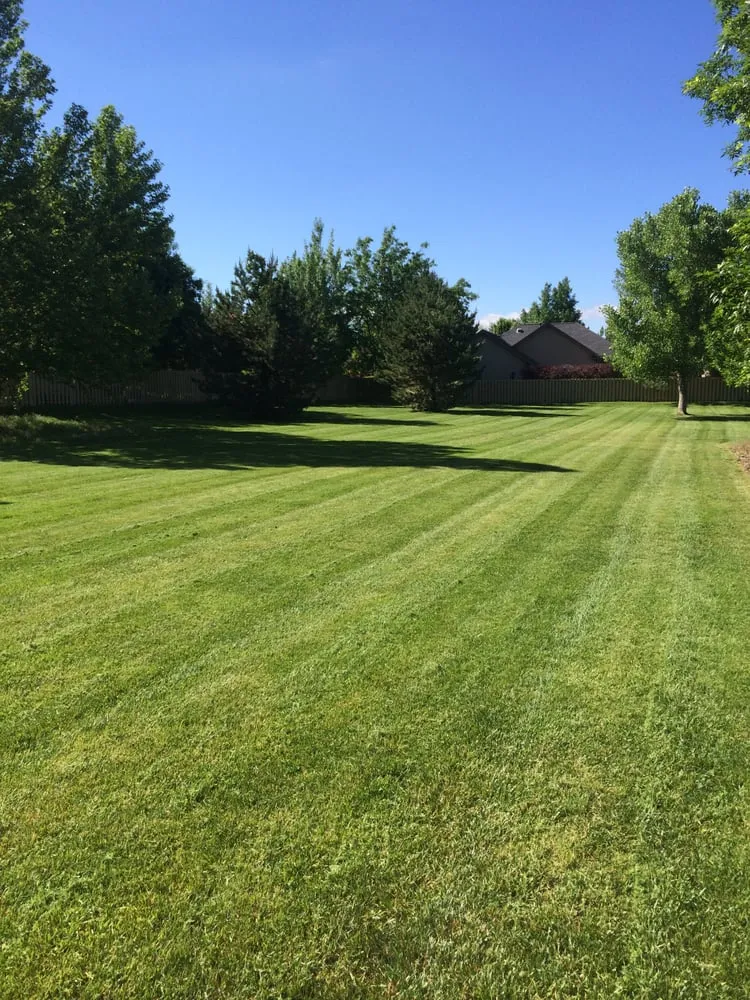 Local lawn care service in Grand Junction, CO by Maple Leaf Landscaping & Maintenance