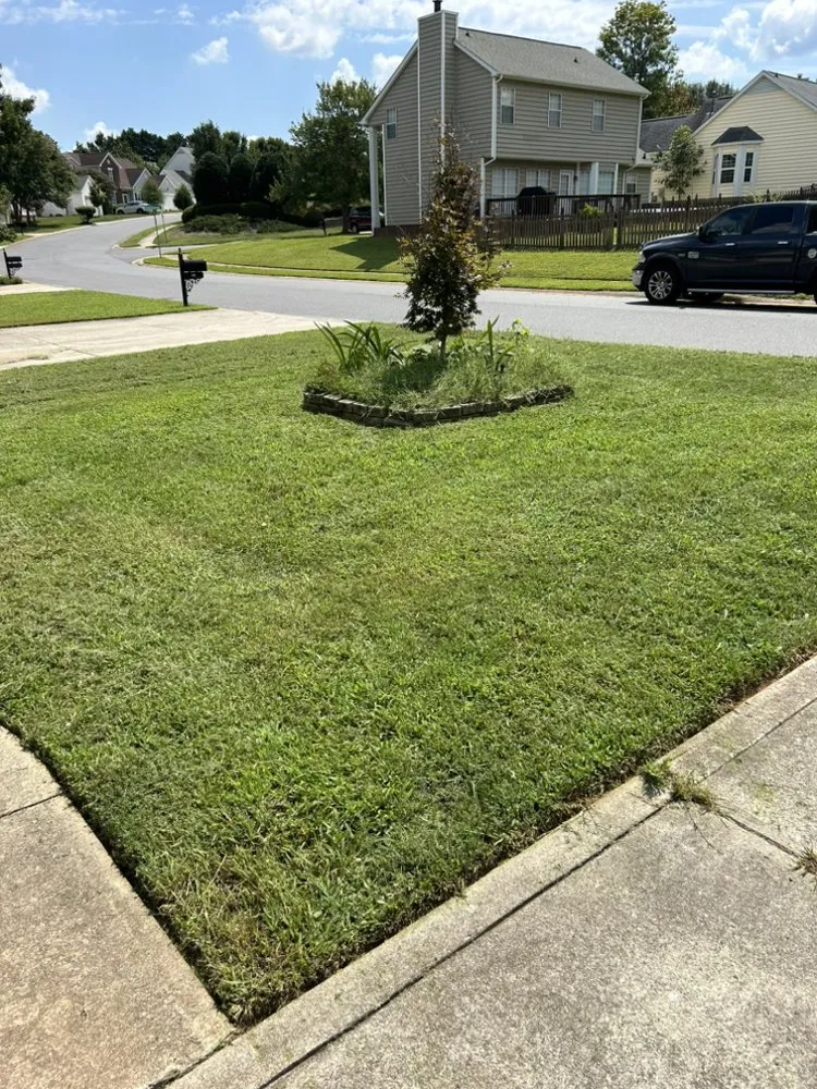 Professional yard maintenance for beautiful yards in Charlotte, NC by Maple Leaf Landscaping