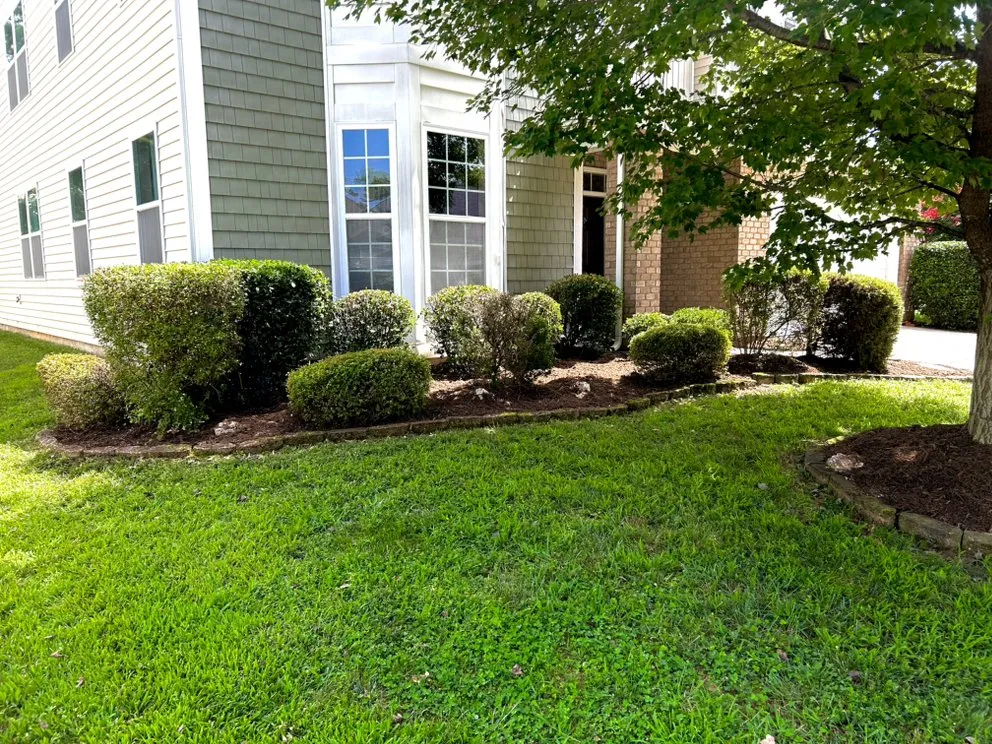 Professional residential landscaping experts serving Charlotte, NC - Maple Leaf Landscaping