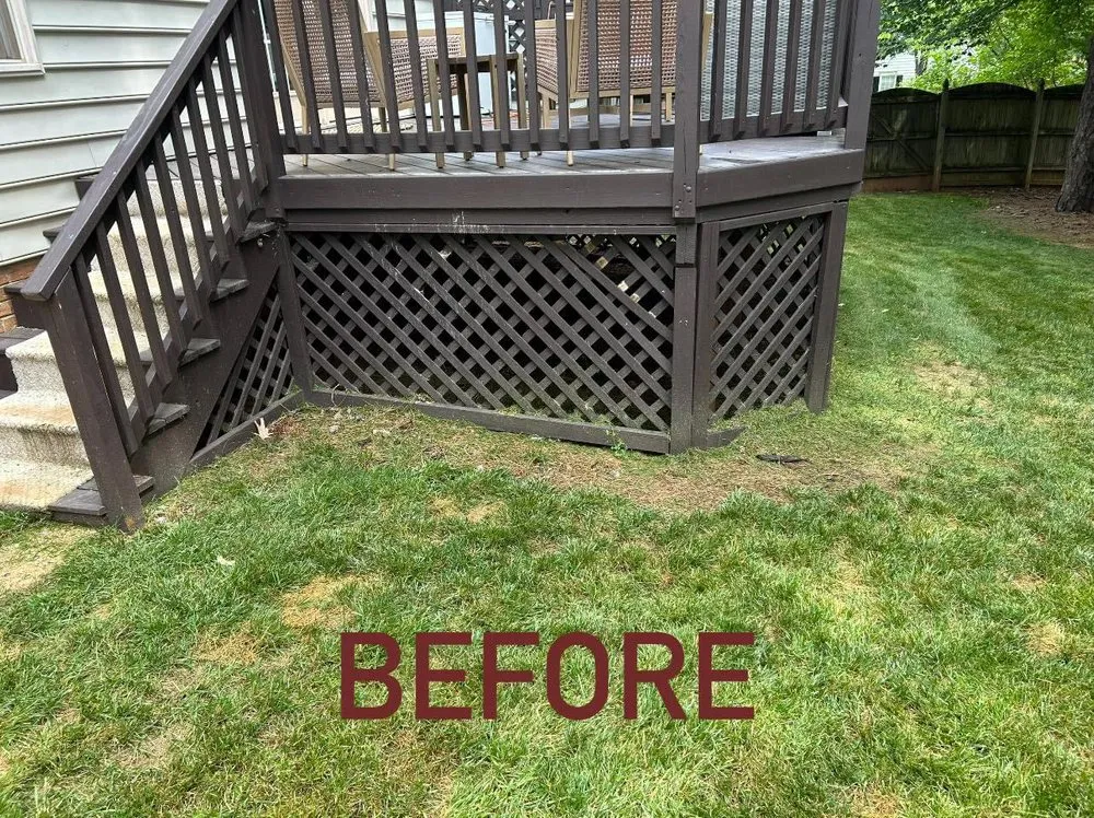 Expert yard maintenance experts serving Charlotte, NC - Maple Leaf Landscaping