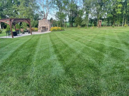 Maple Leaf Lawn and Landscape