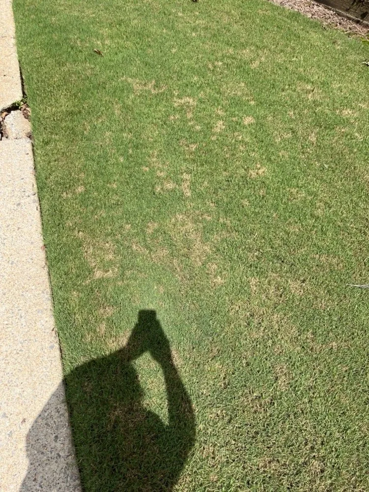 Custom landscape installation in Marietta, GA by Maple Leaf Lawn Care and Pest Control