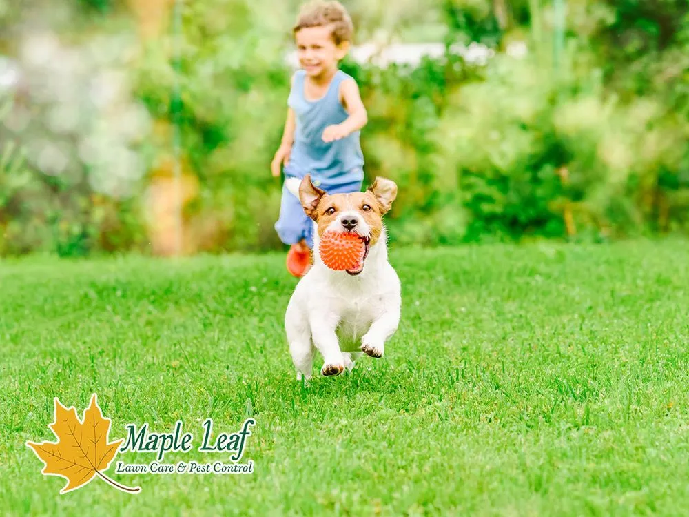 Top-rated outdoor landscaping for homes in Marietta, GA by Maple Leaf Lawn Care and Pest Control