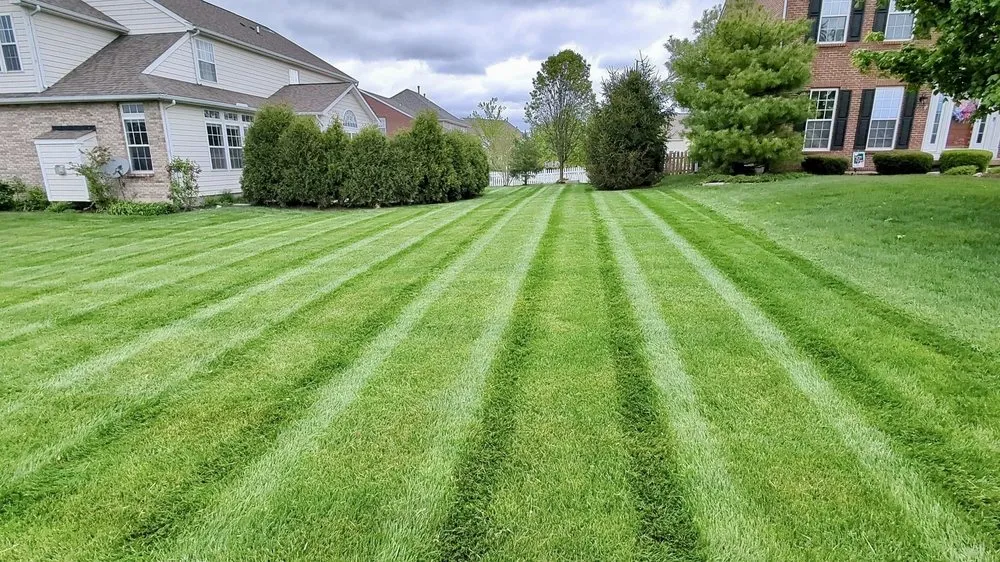 Professional landscaping services with custom design across Belleville, IL - Maple Leaf Lawn Service
