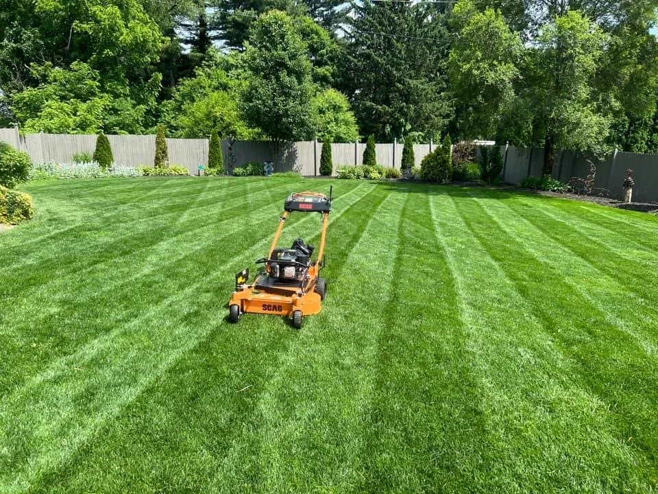 Top-rated yard maintenance for outdoor upgrades across Belleville, IL - Maple Leaf Lawn Service