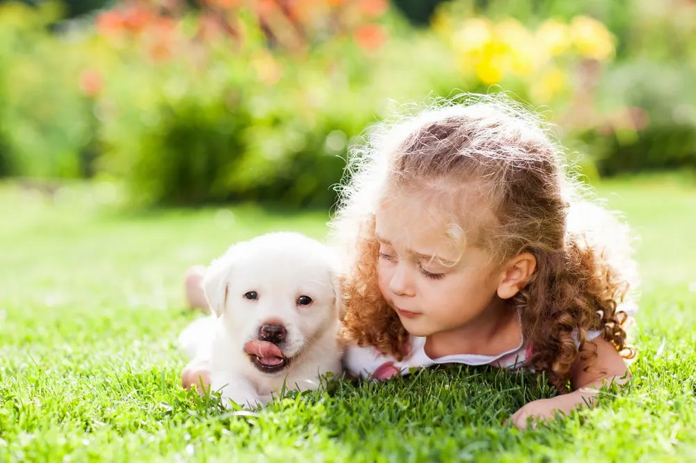 Expert lawn care service experts serving Geneseo, IL - Maple Leaf Lawn Solutions