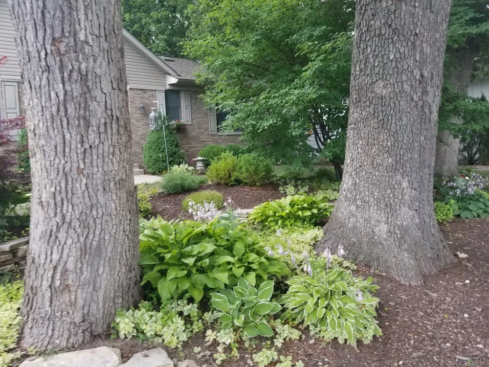 Reliable landscaping services experts serving Geneseo, IL - Maple Leaf Lawn Solutions