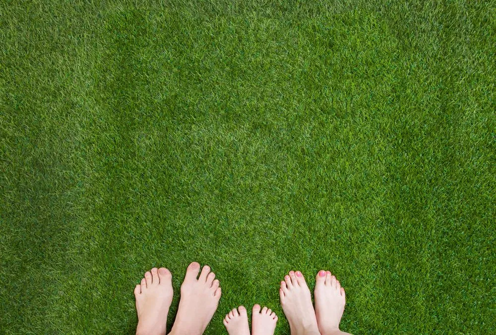 Reliable yard cleanup service for homes in Geneseo, IL by Maple Leaf Lawn Solutions