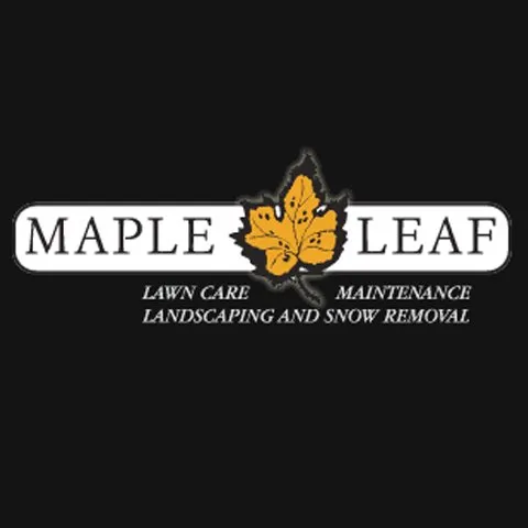 Top-rated yard cleanup service experts serving Verona, WI - Maple Leaf