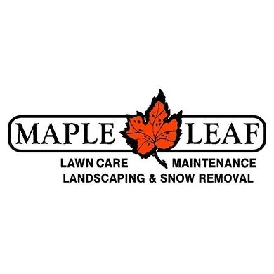 Reliable yard cleanup service experts serving Verona, WI - Maple Leaf