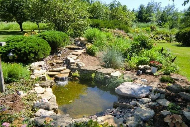 Local landscape design for outdoor upgrades across Verona, WI - Maple Leaf