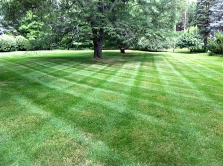 Professional landscape installation experts serving Verona, WI - Maple Leaf