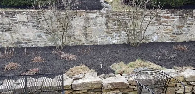 Expert yard cleanup service experts serving Christiana, PA - Maple Shade Landscaping